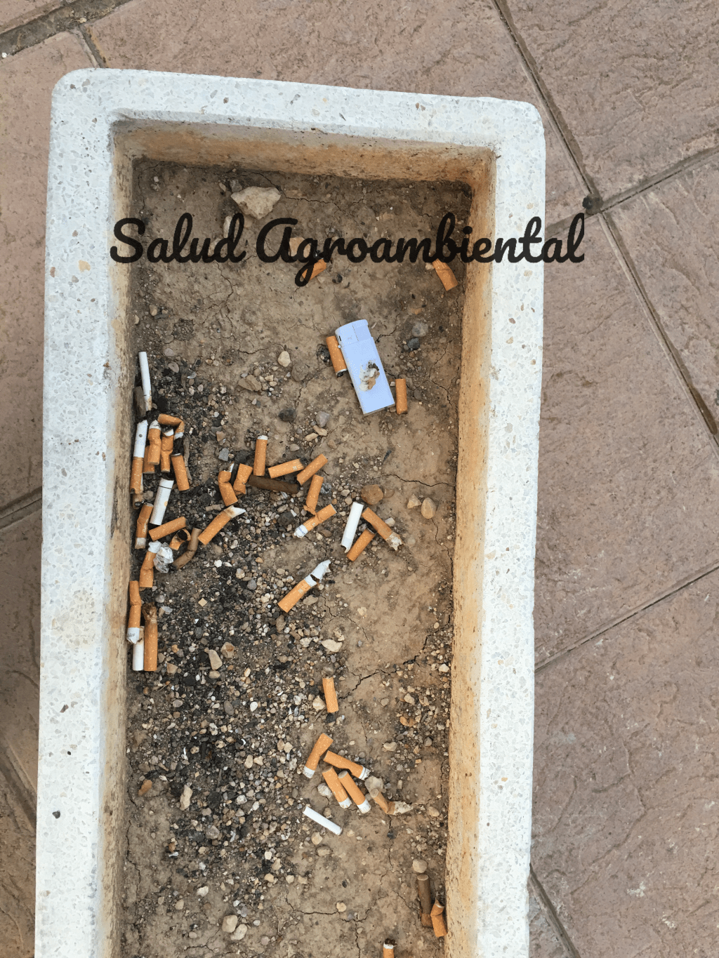 ¡ La pandilla colilla no para&nbsp;!♻️